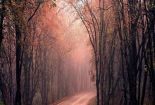 蓝鲸体育：德约100冠悬了？19岁天才狂轰25记ace淘汰弗里茨，决赛要阻击德约.