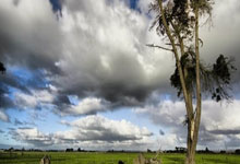 蓝鲸体育:居莱尔87分钟浪射,姆巴佩暴怒挥拳、贝林厄姆摊手表达不满.